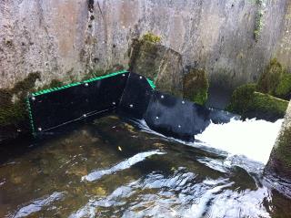 elver pass 1