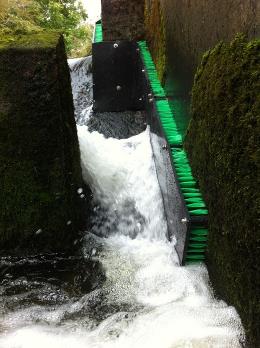 elver pass 3